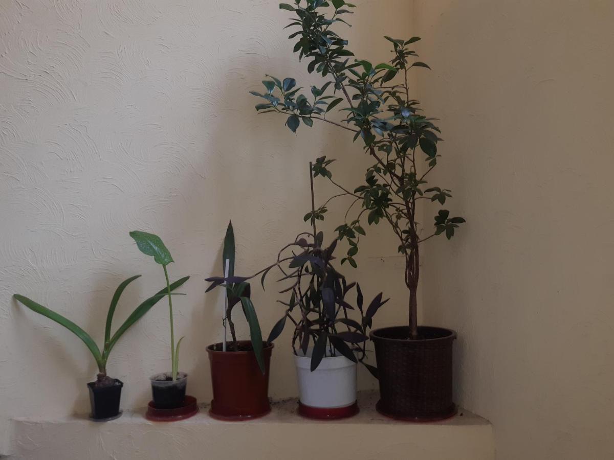 75 Katerynyns'Ka Street Daire Odessa Dış mekan fotoğraf